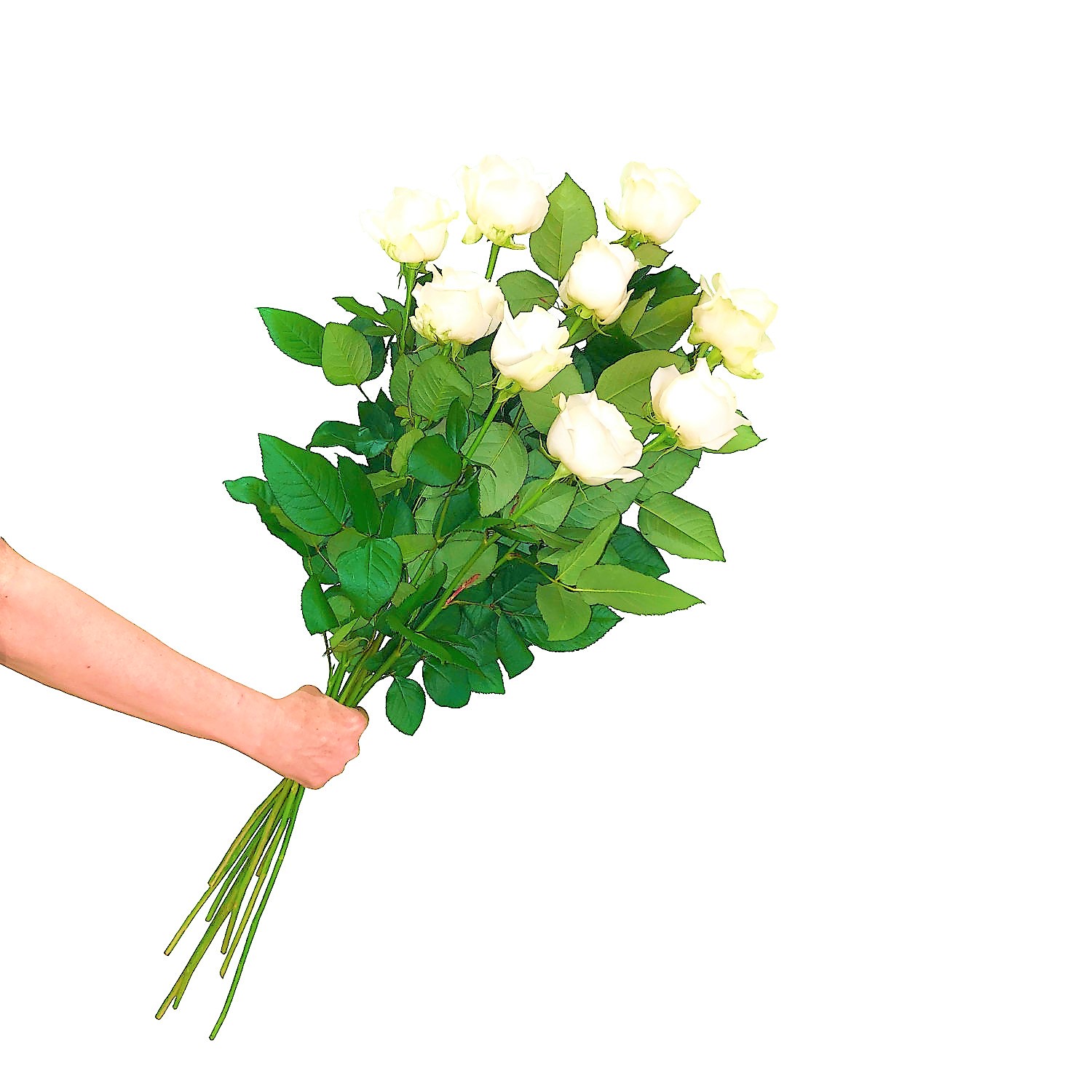 Bouquet Grandes Roses Blanches Cm Nos Fleurs Floralia